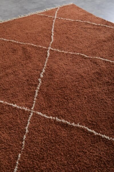 Custom Terracotta and Ivory Moroccan Wool Rug - Image 6